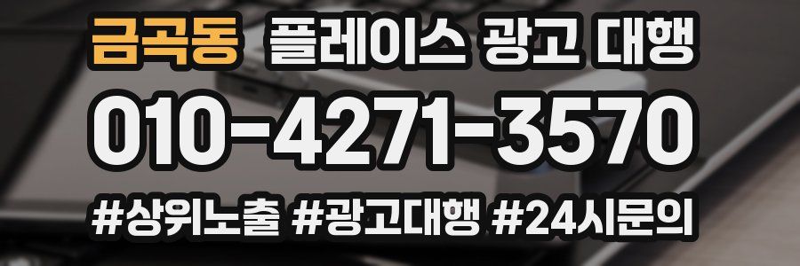 금곡동 플레이스 광고 대행