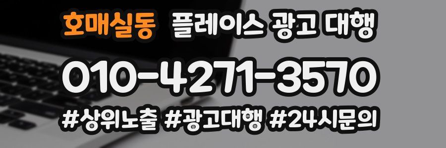 호매실동 플레이스 광고 대행
