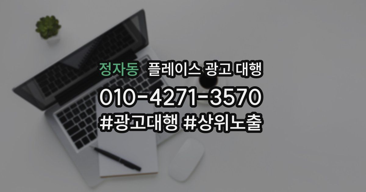 정자동 플레이스 광고 대행