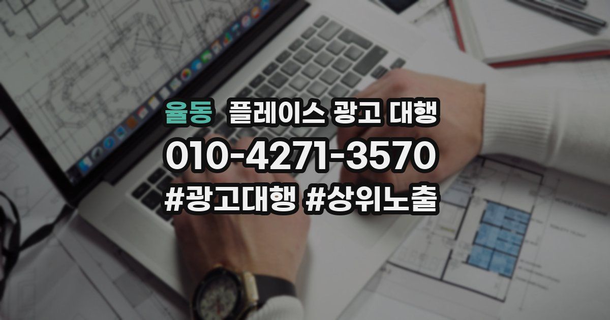 율동 플레이스 광고 대행