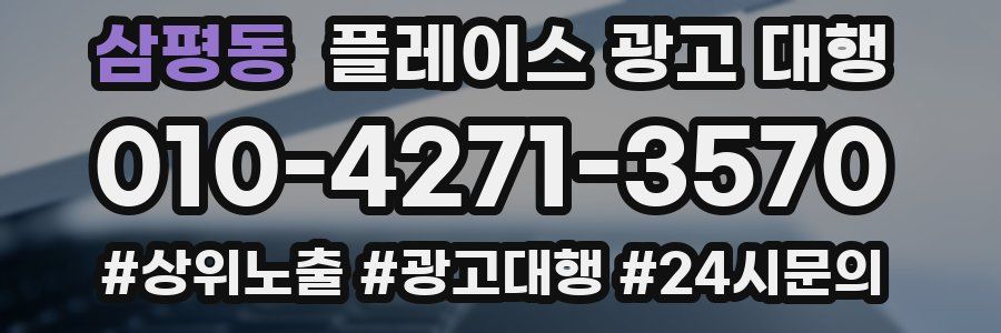 삼평동 플레이스 광고 대행