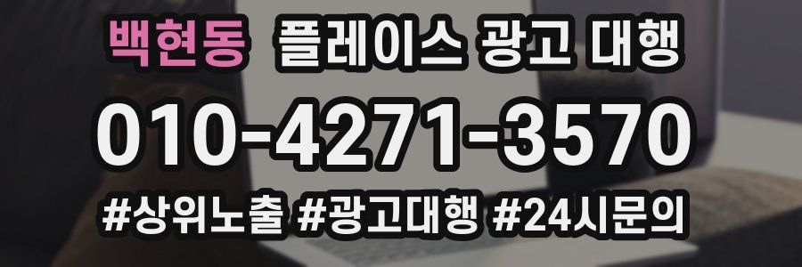 백현동 플레이스 광고 대행