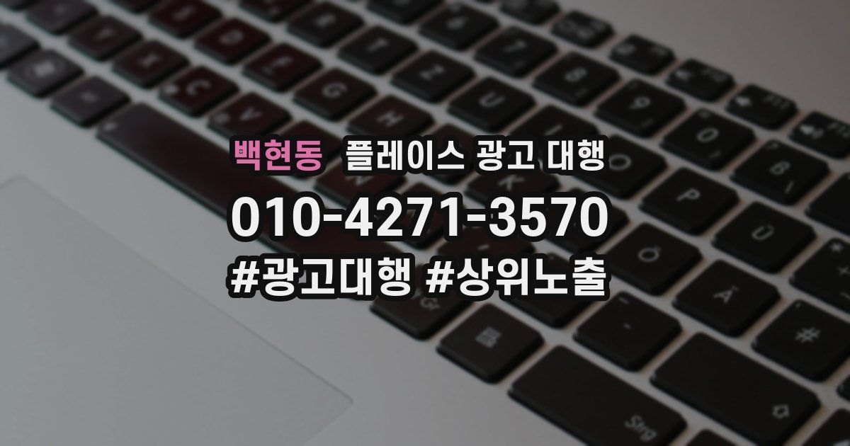 백현동 플레이스 광고 대행