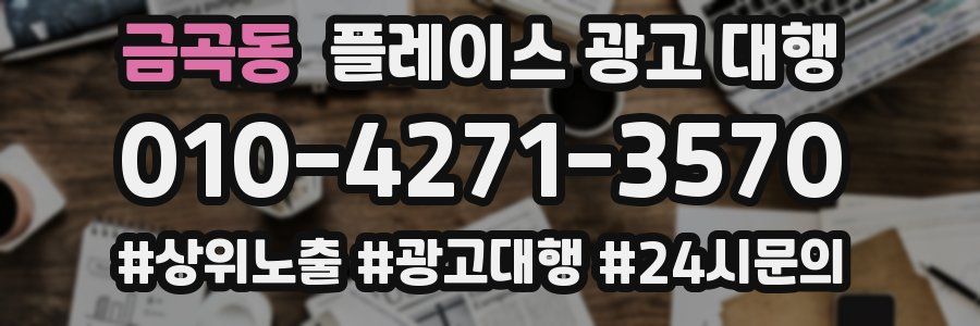 금곡동 플레이스 광고 대행
