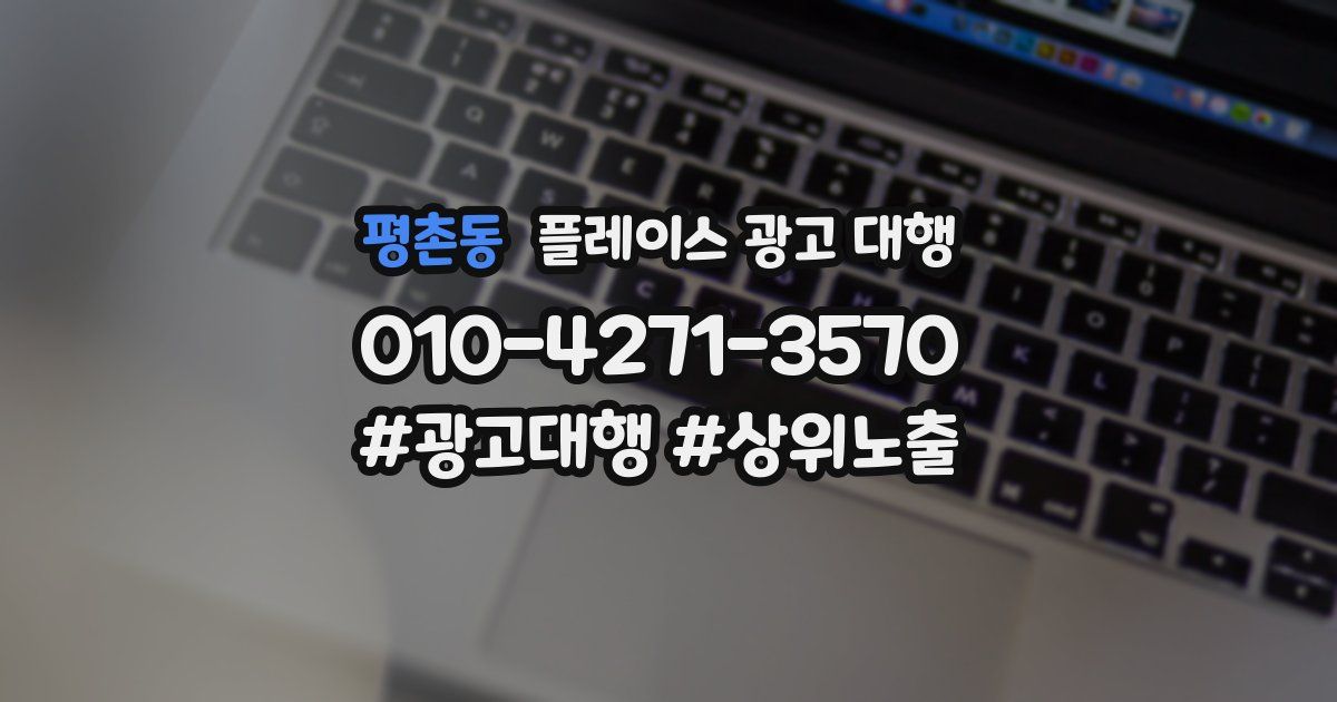 평촌동 플레이스 광고 대행