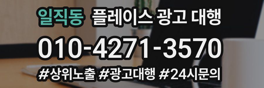 일직동 플레이스 광고 대행