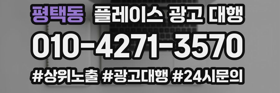 평택동 플레이스 광고 대행