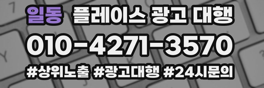 일동 플레이스 광고 대행