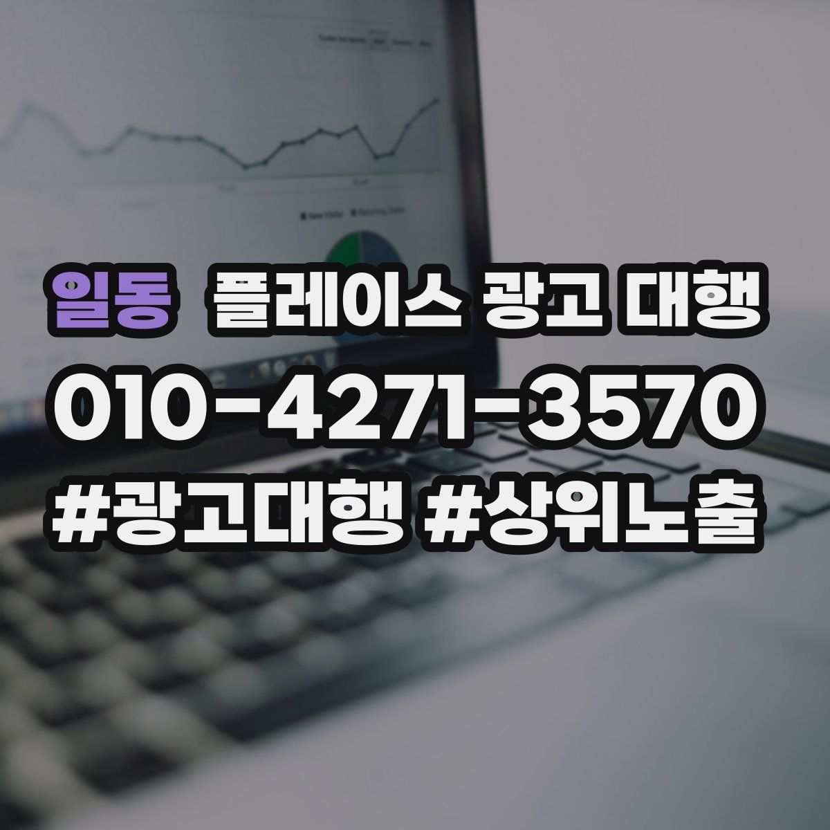 일동 플레이스 광고 대행