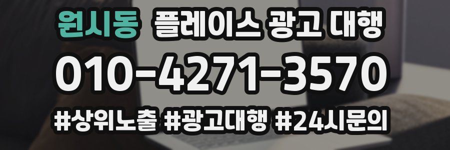 원시동 플레이스 광고 대행