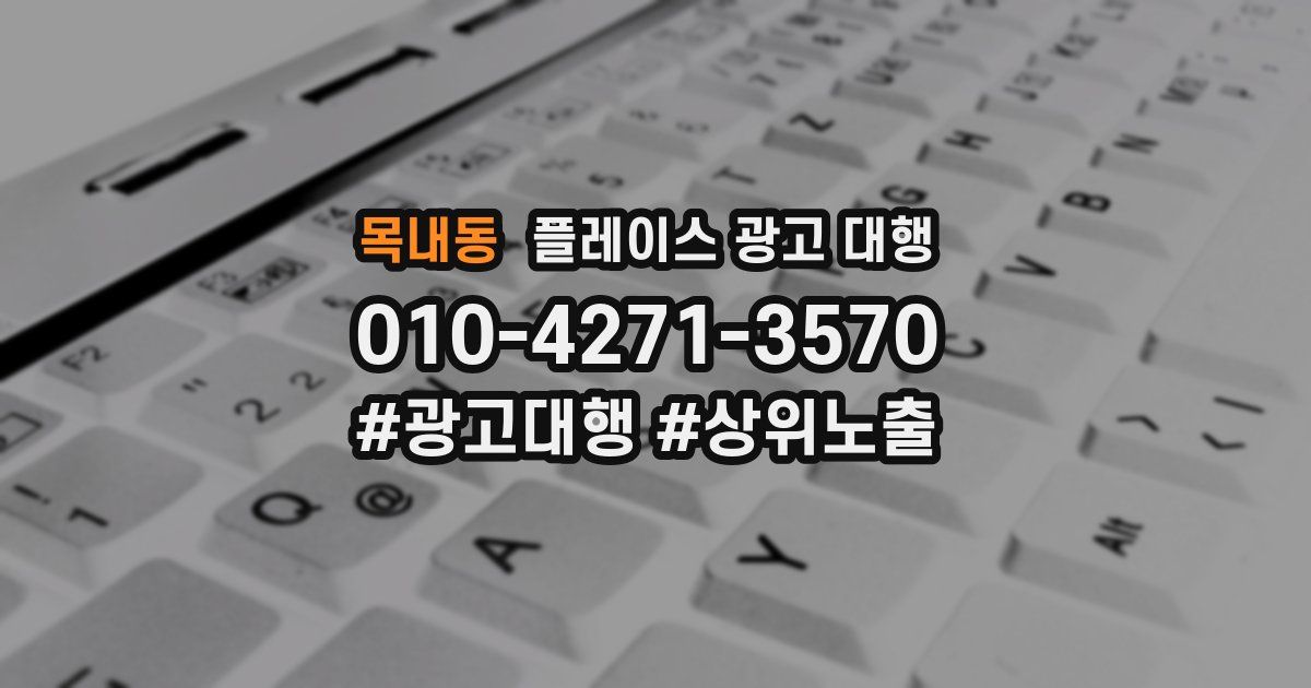 목내동 플레이스 광고 대행
