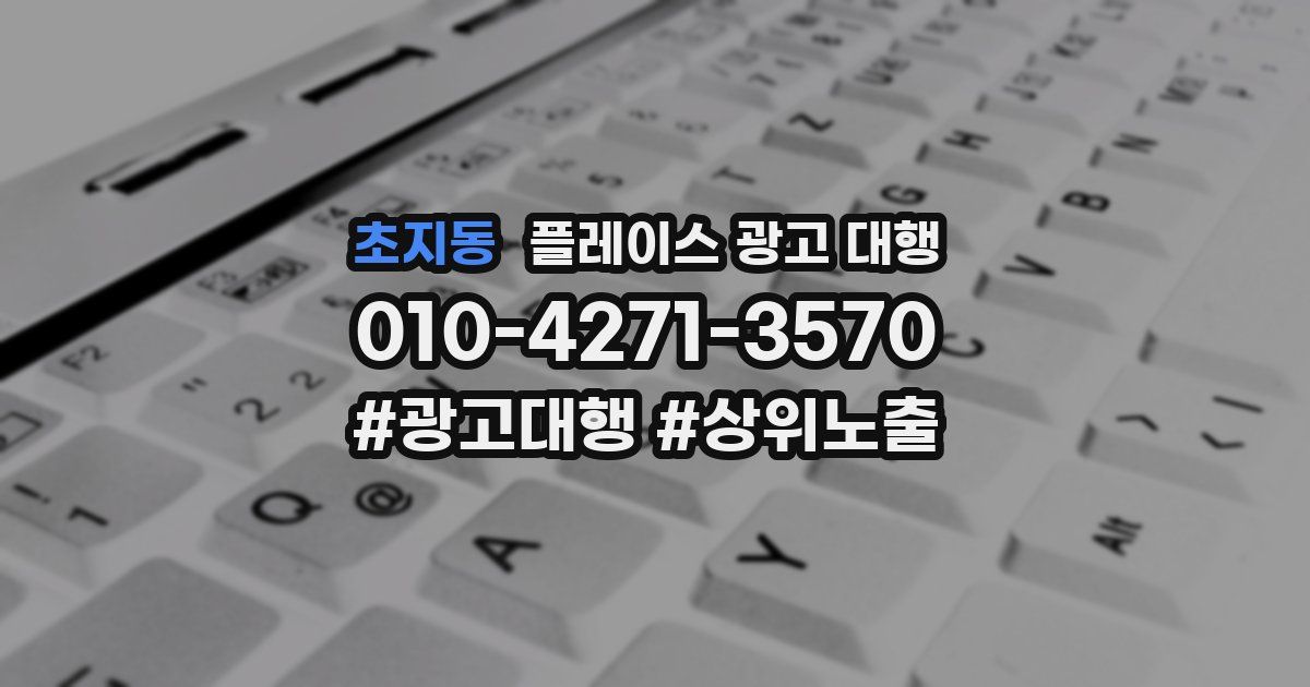초지동 플레이스 광고 대행