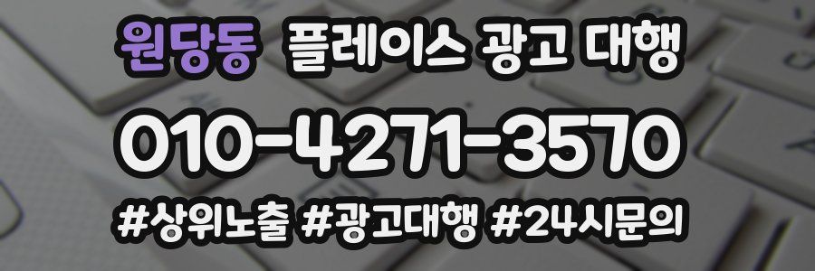 원당동 플레이스 광고 대행