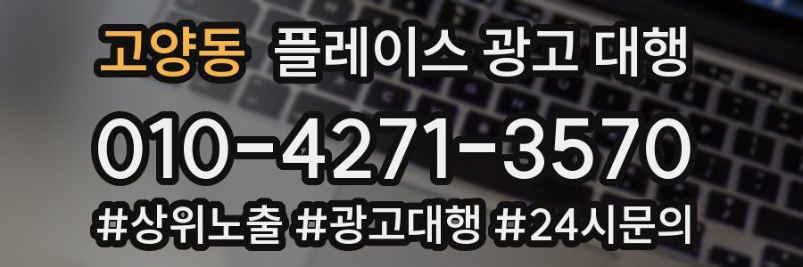 고양동 플레이스 광고 대행