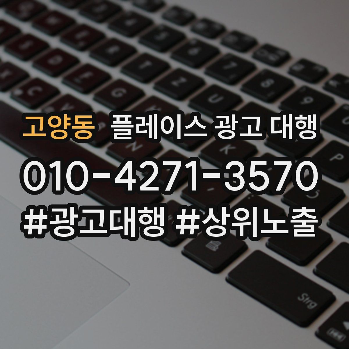 고양동 플레이스 광고 대행