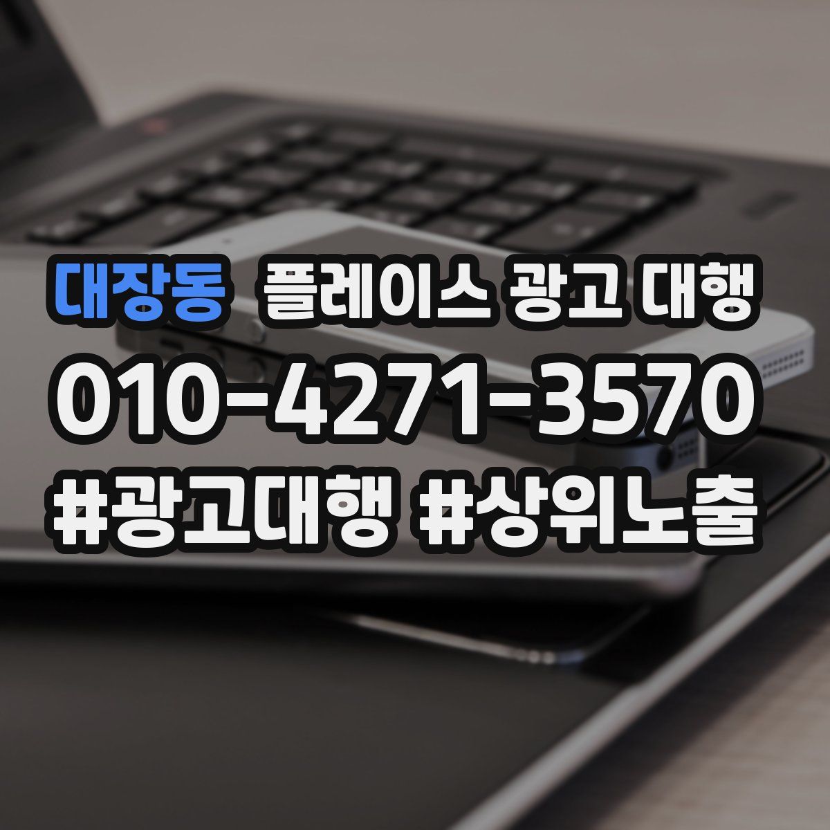 대장동 플레이스 광고 대행
