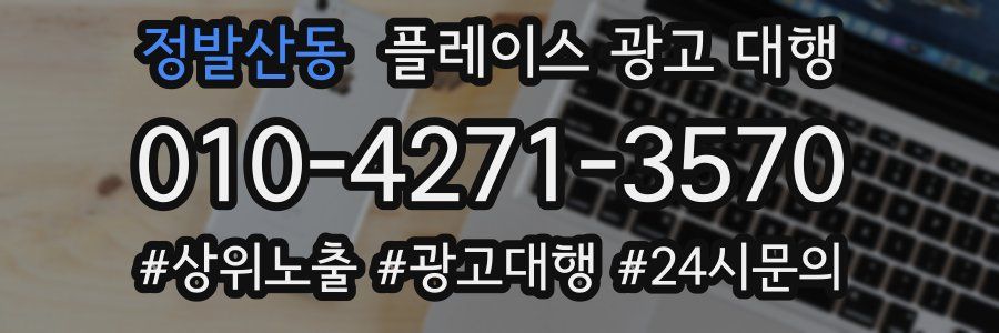 정발산동 플레이스 광고 대행