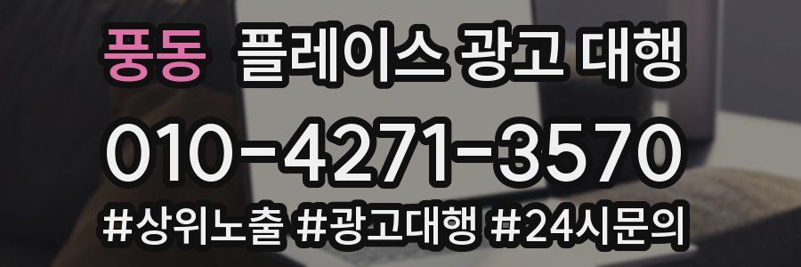 풍동 플레이스 광고 대행