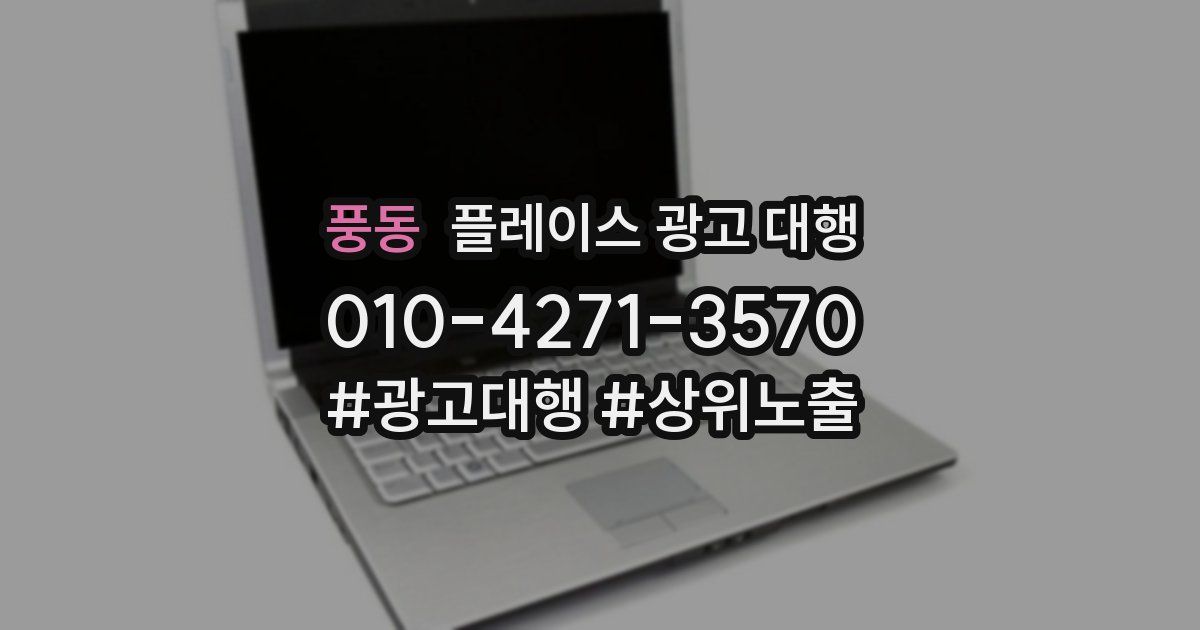 풍동 플레이스 광고 대행