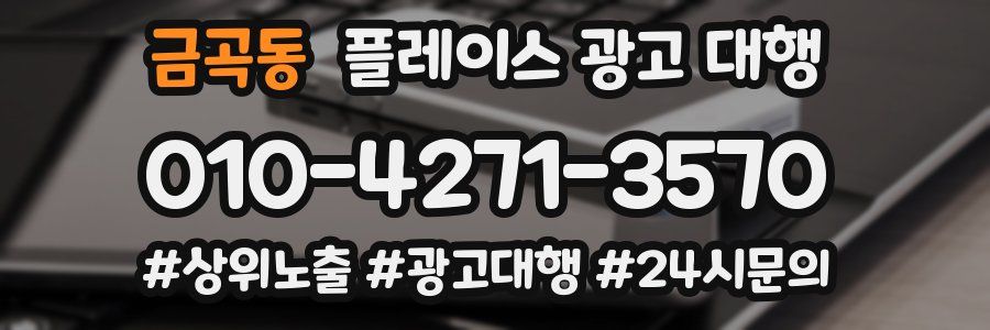 금곡동 플레이스 광고 대행