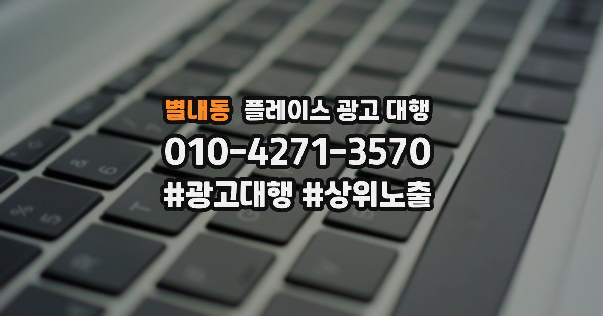 별내동 플레이스 광고 대행