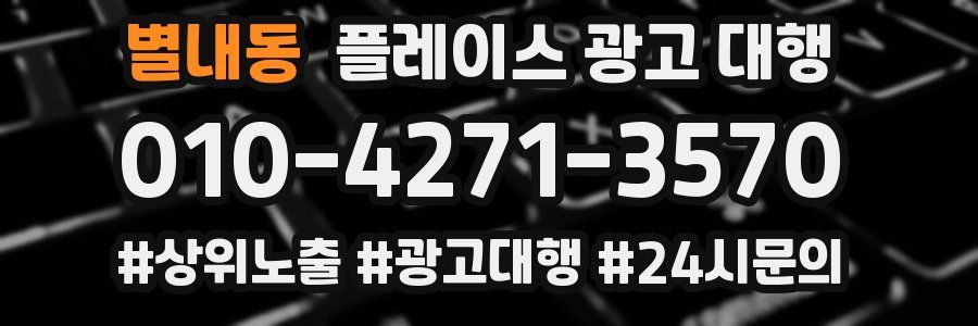 별내동 플레이스 광고 대행