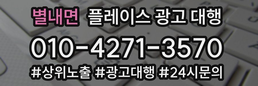 별내면 플레이스 광고 대행