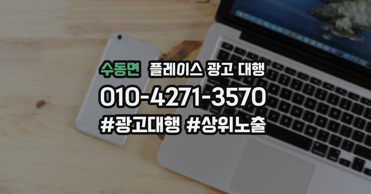 수동면 플레이스 광고 대행