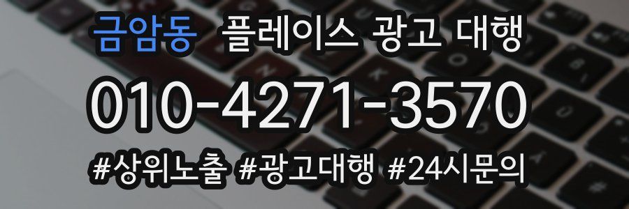 금암동 플레이스 광고 대행