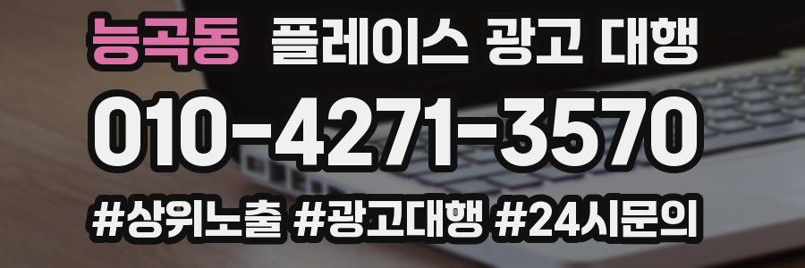 능곡동 플레이스 광고 대행