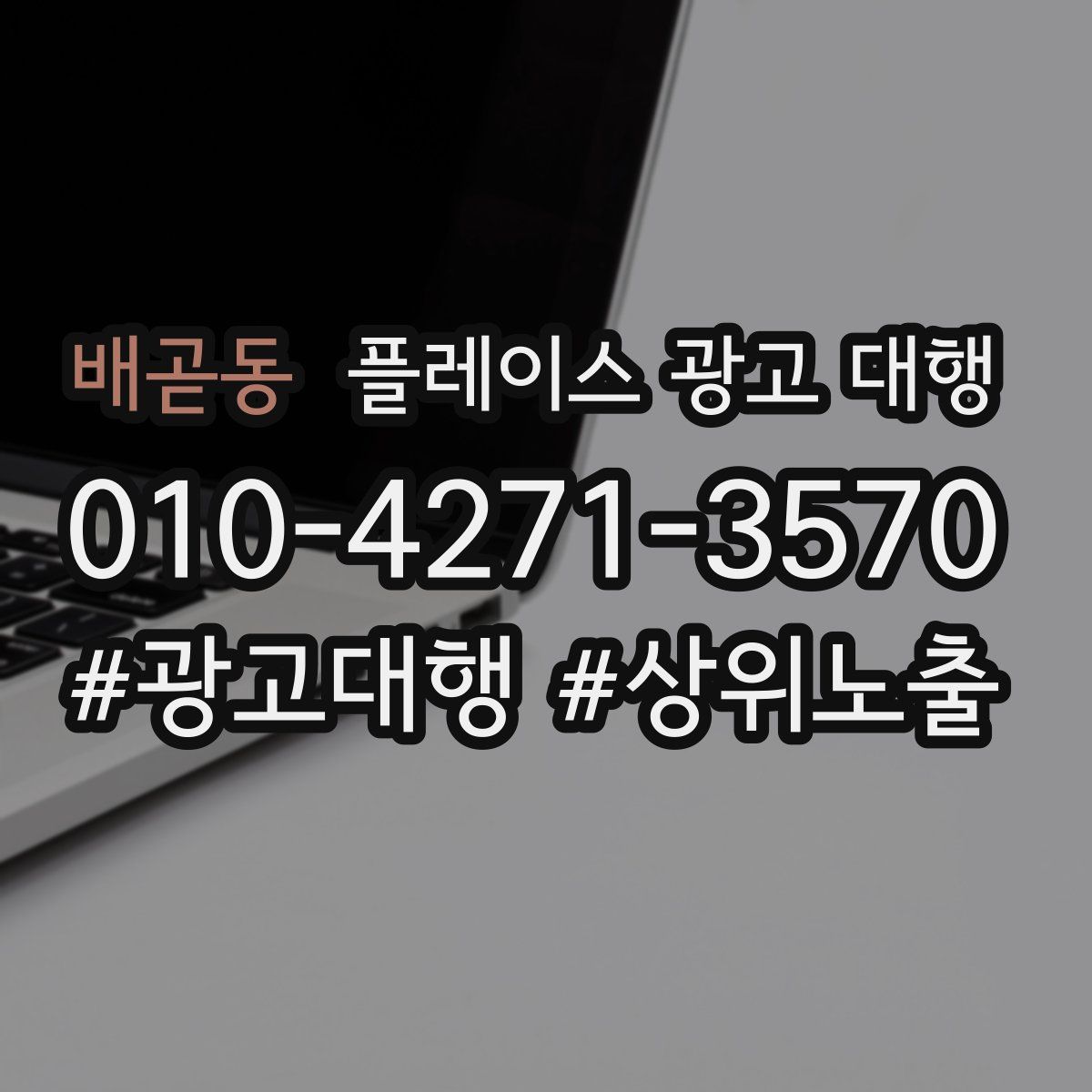 배곧동 플레이스 광고 대행