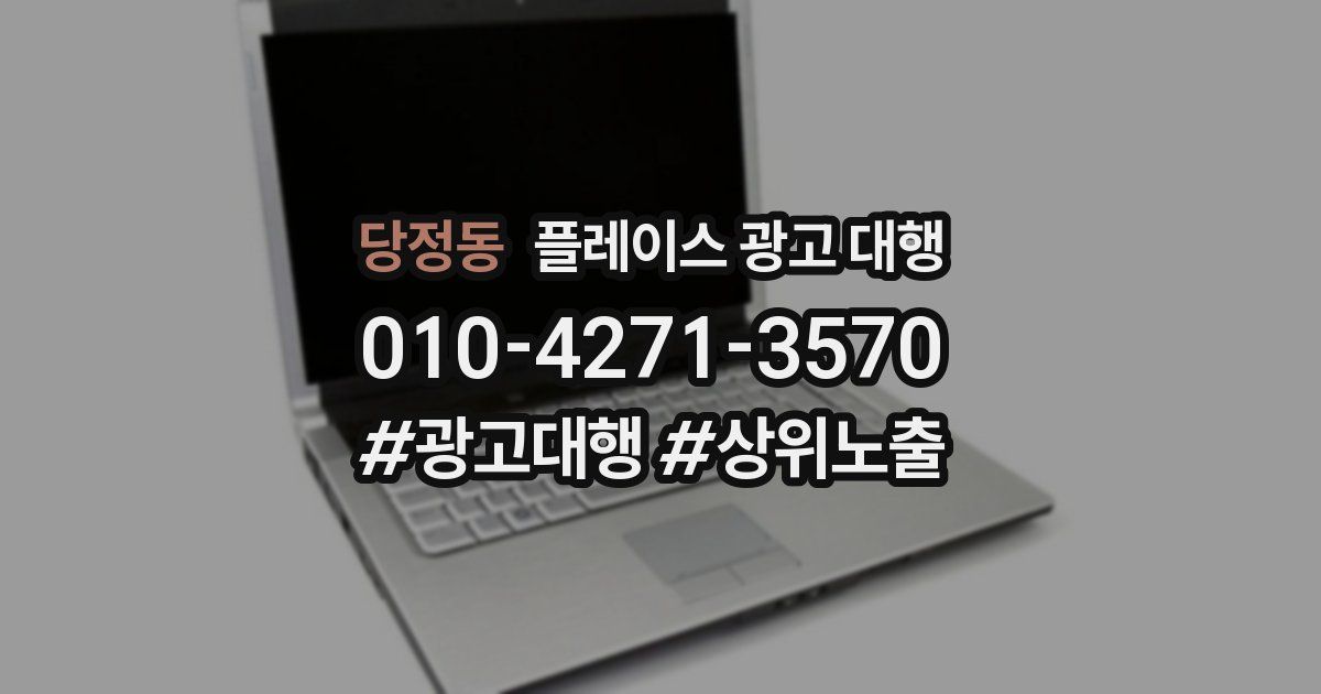 당정동 플레이스 광고 대행