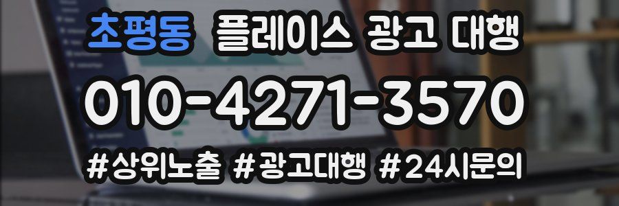 초평동 플레이스 광고 대행