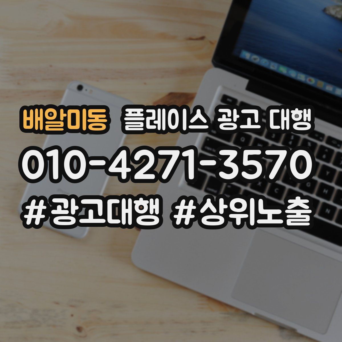 배알미동 플레이스 광고 대행