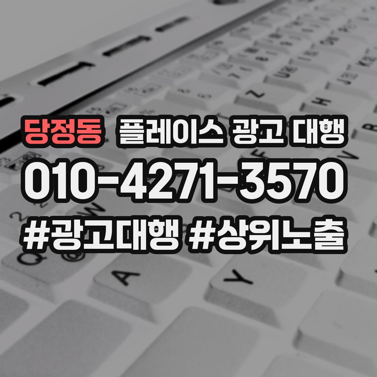 당정동 플레이스 광고 대행