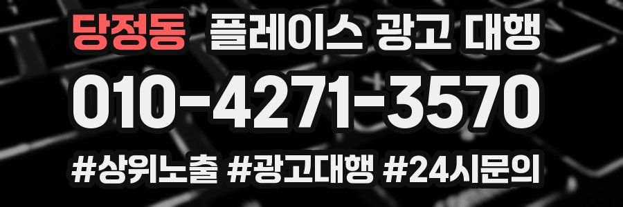 당정동 플레이스 광고 대행