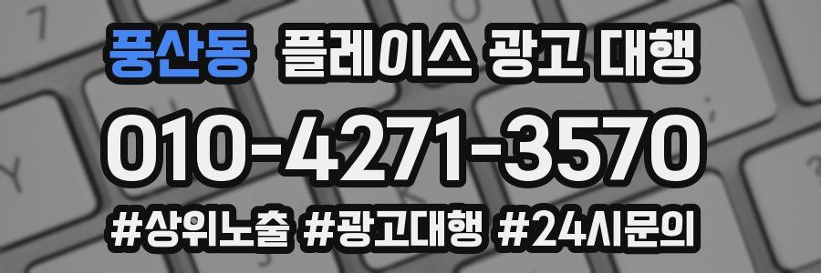 풍산동 플레이스 광고 대행