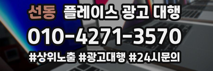 선동 플레이스 광고 대행