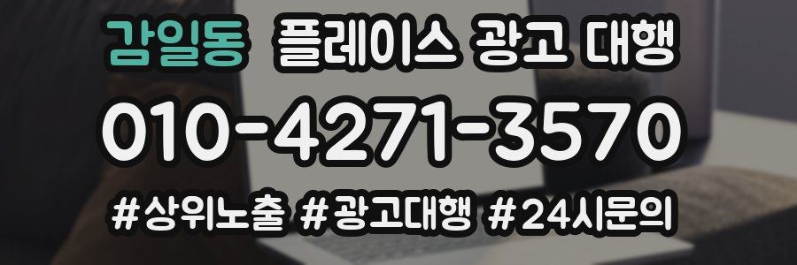 감일동 플레이스 광고 대행