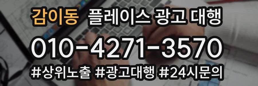 감이동 플레이스 광고 대행