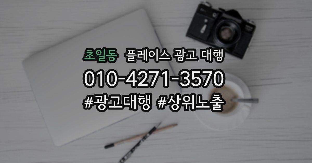초일동 플레이스 광고 대행