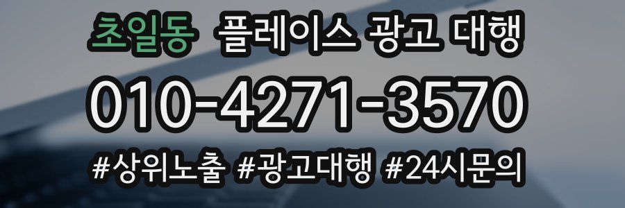 초일동 플레이스 광고 대행