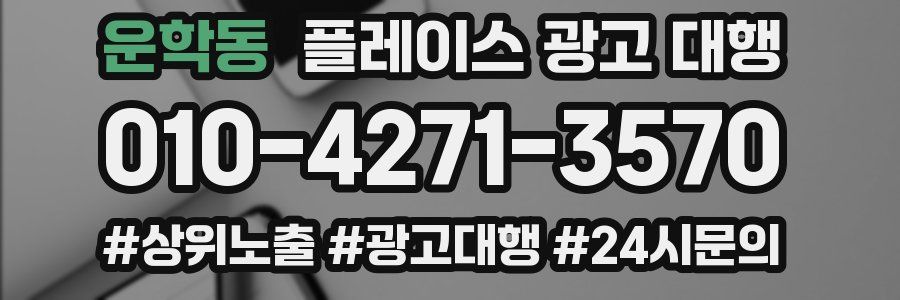 운학동 플레이스 광고 대행