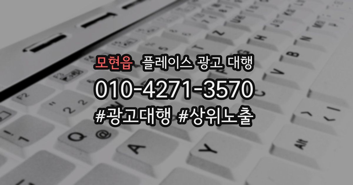 모현읍 플레이스 광고 대행
