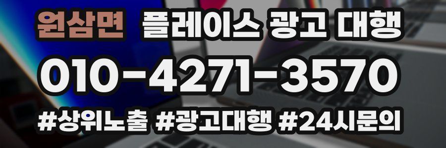 원삼면 플레이스 광고 대행