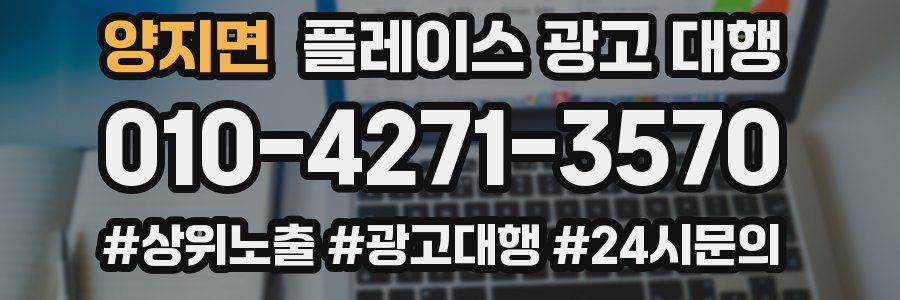 양지면 플레이스 광고 대행