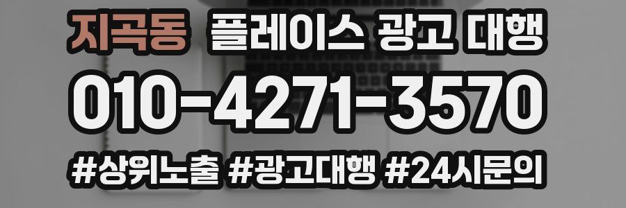 지곡동 플레이스 광고 대행