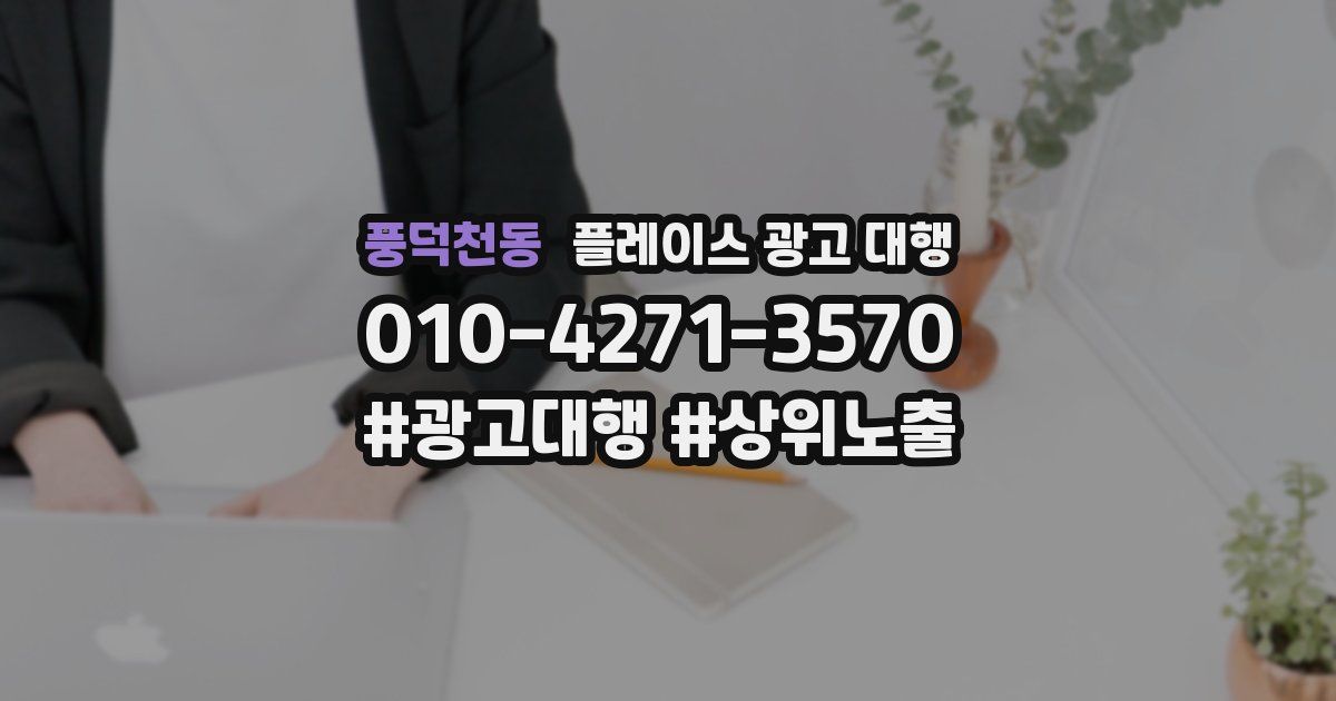 풍덕천동 플레이스 광고 대행