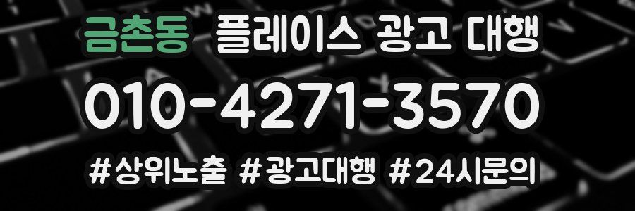 금촌동 플레이스 광고 대행
