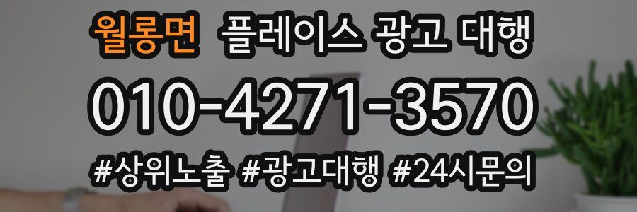 월롱면 플레이스 광고 대행